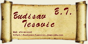 Budisav Tešović vizit kartica